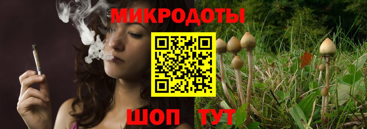 Галлюциногенные грибы Magic Shrooms  где можно купить наркотик  Ахтубинск  Вход с VPN 