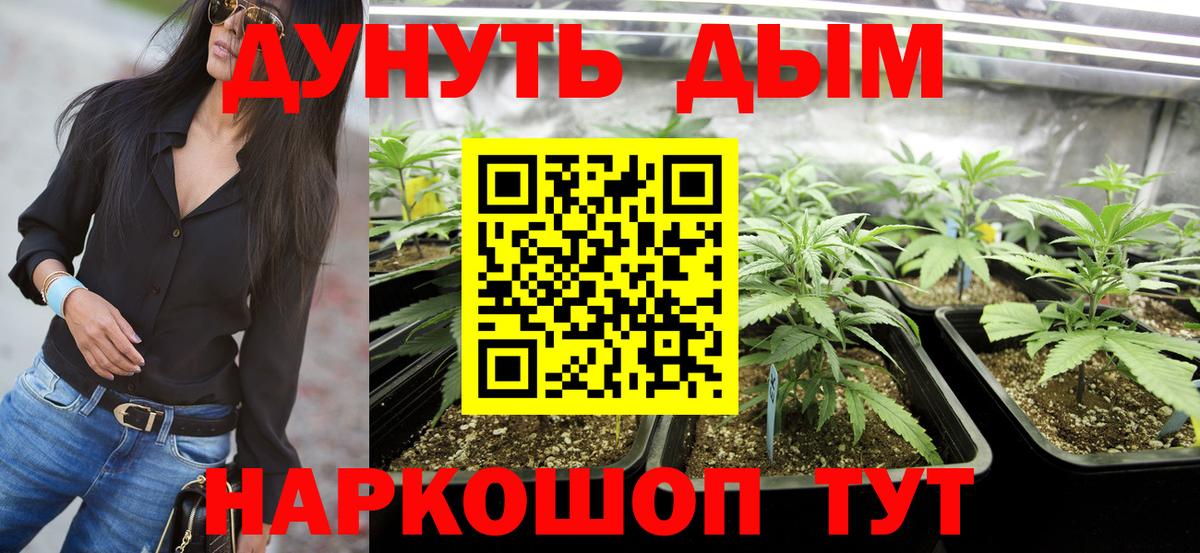 Шишки марихуана конопля  Вход с VPN  Ахтубинск  Каннабис ГИДРОПОН  Конопля THC 21% 